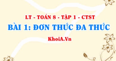 Đơn thức và đa thức là gì? Đơn thức, Đa thức thu gọn là gì? Cách cộng trừ đơn thức đồng dạng? Toán 8 bài 1 ct1c1b1